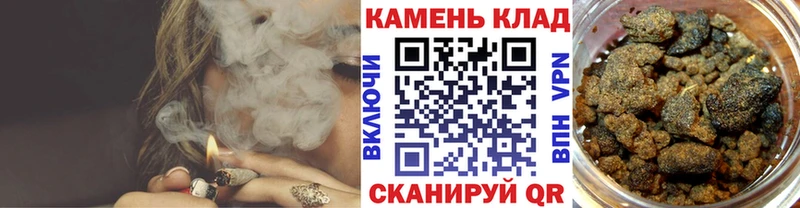 Гашиш гарик  закладка  mega ССЫЛКА  Егорьевск 