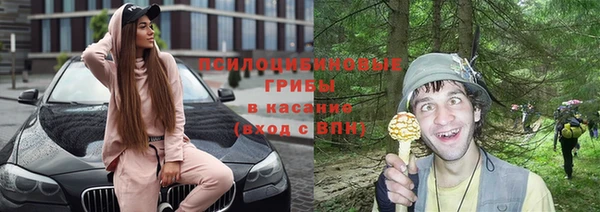 СК Абдулино
