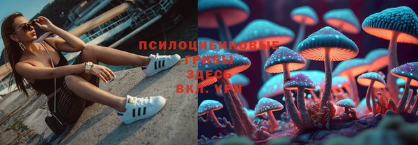 СК Абдулино